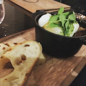 Potted Duck Egg